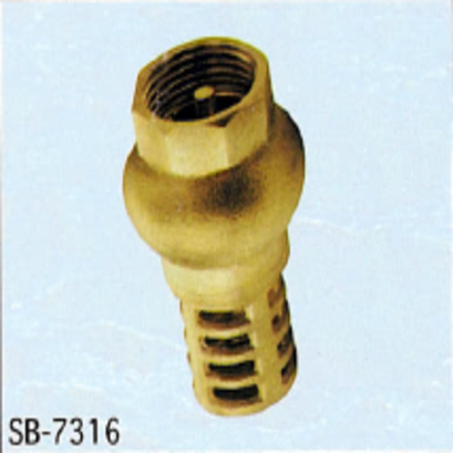Brass foot valve